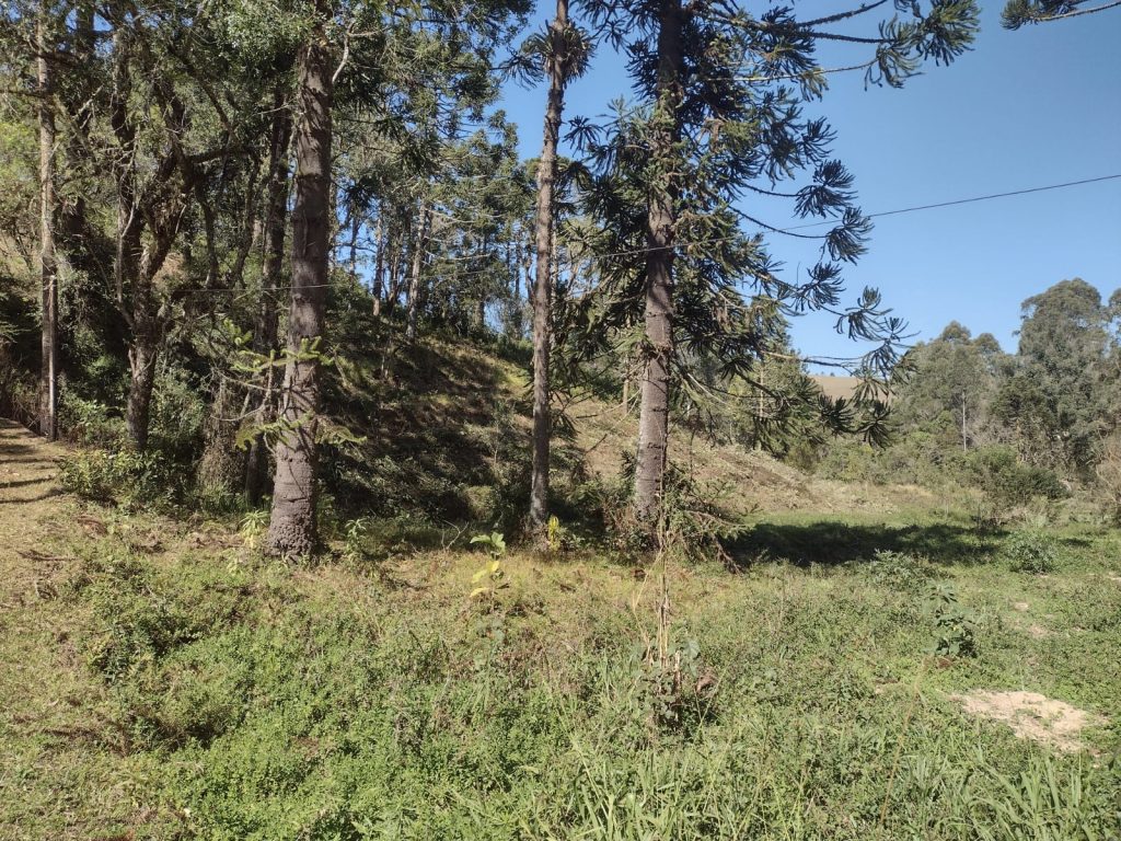 Um Sítio Pode te Oferecer