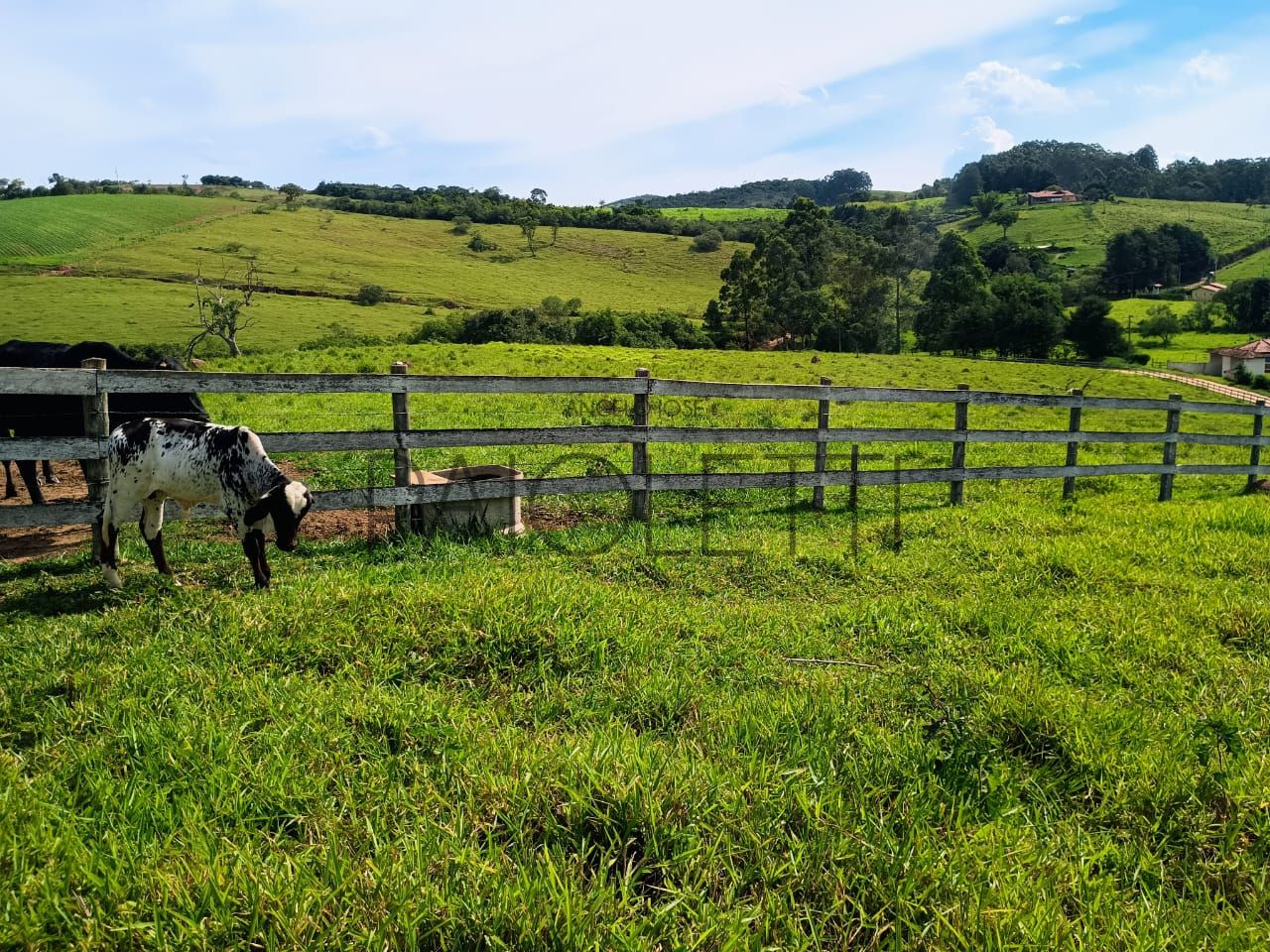 Sitio - Viver no campo (11)
