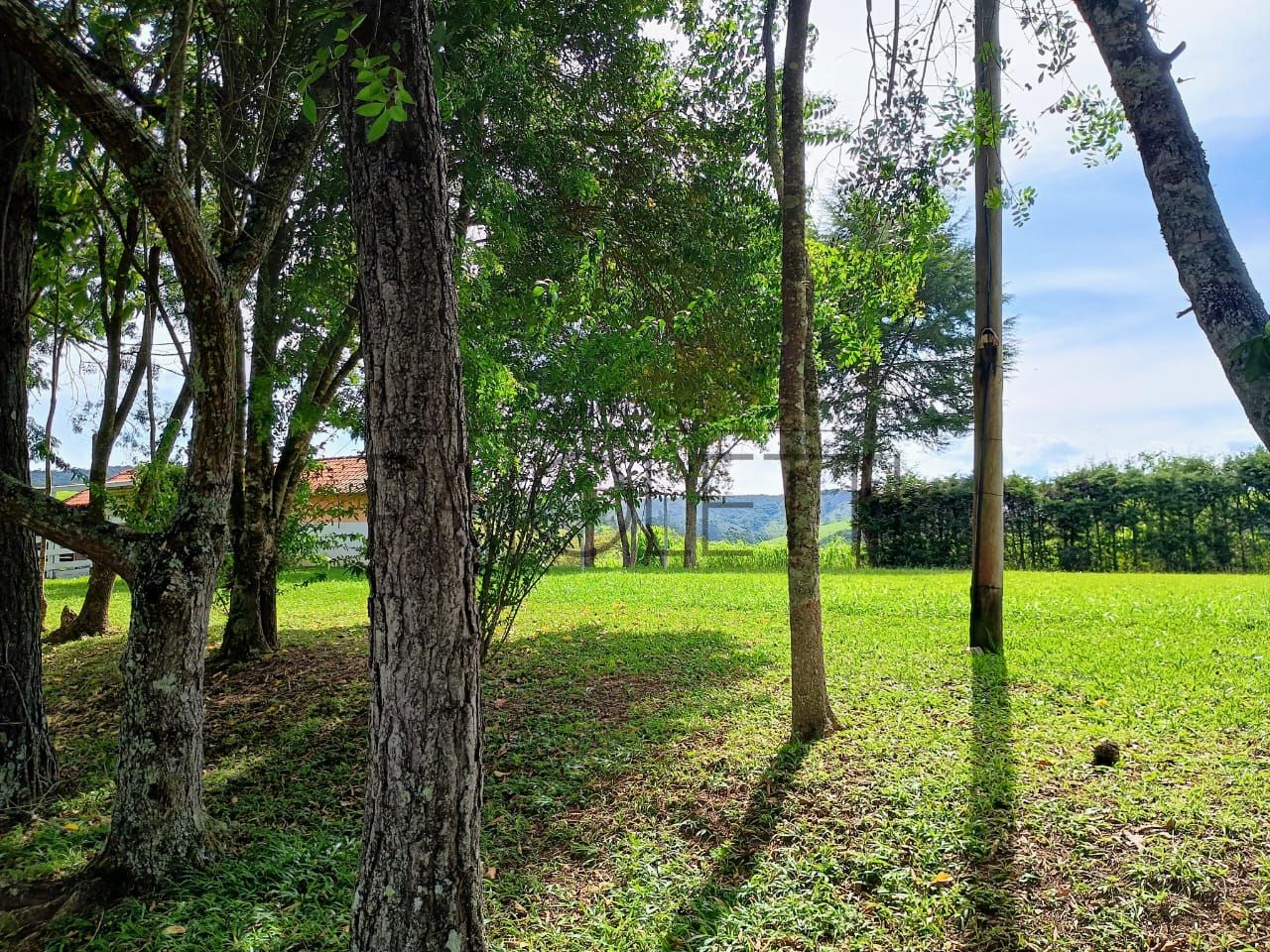 Sitio - Viver no campo (14)