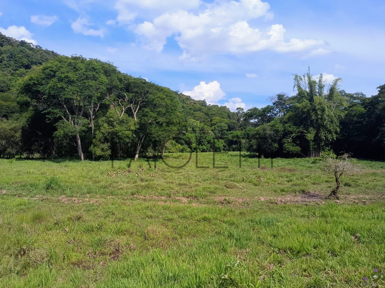 Sitio - Viver no campo (16)