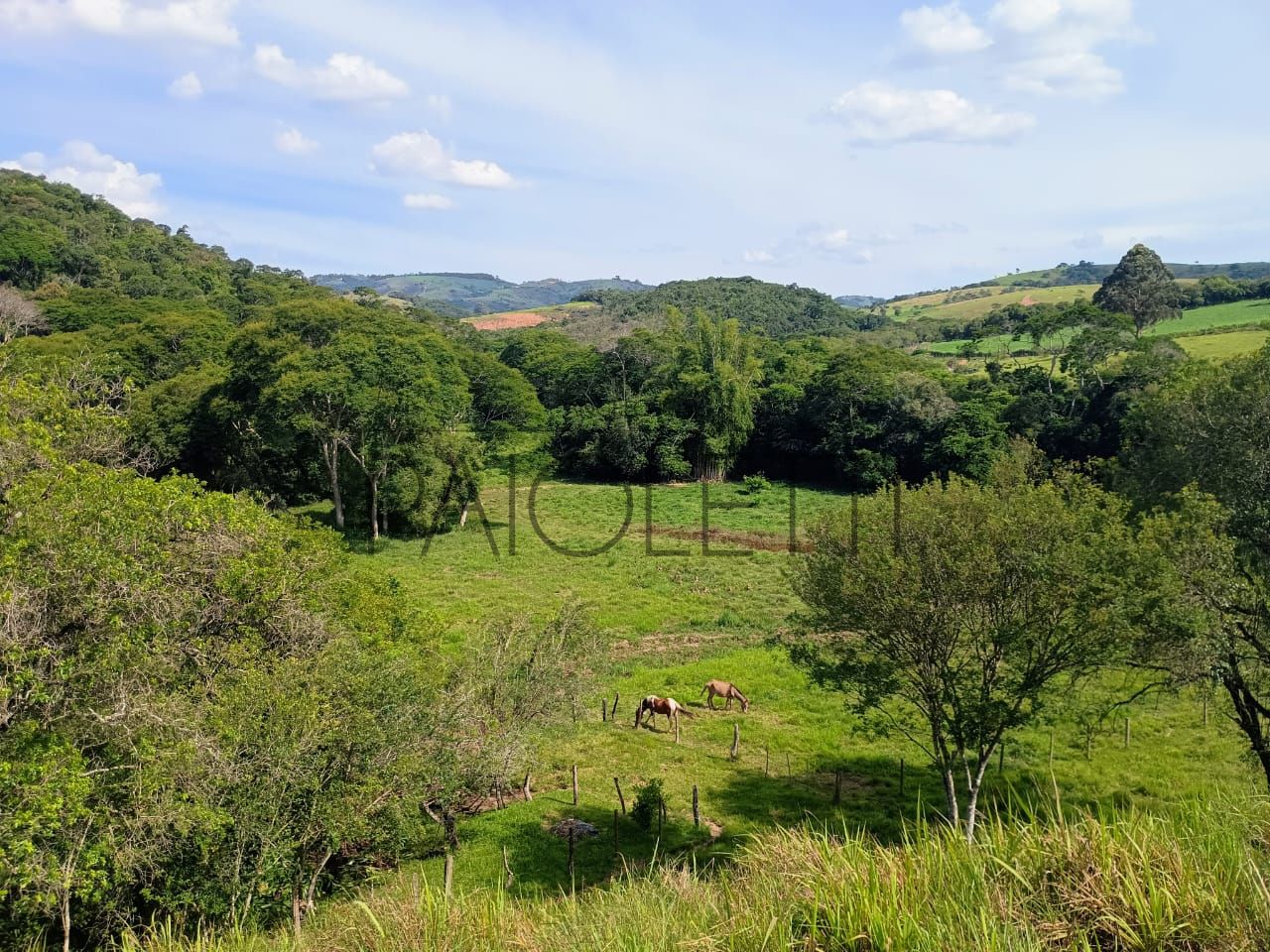Sitio - Viver no campo (17)