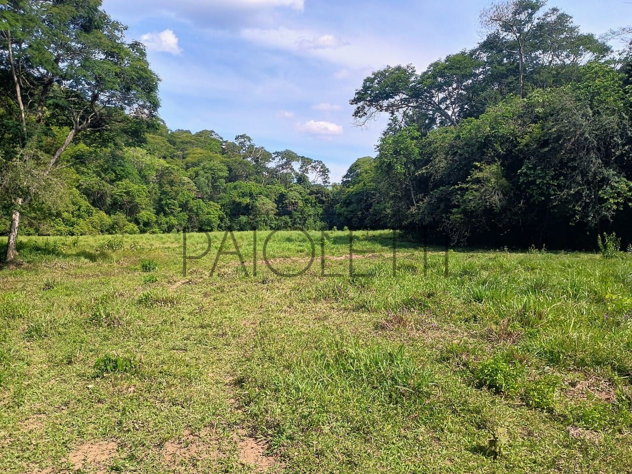 Sitio - Viver no campo (18)