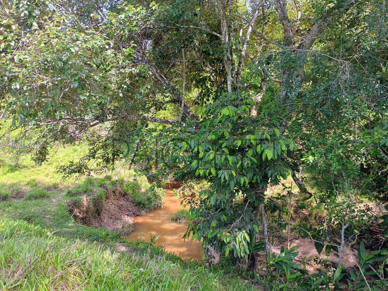 Sitio - Viver no campo (19)