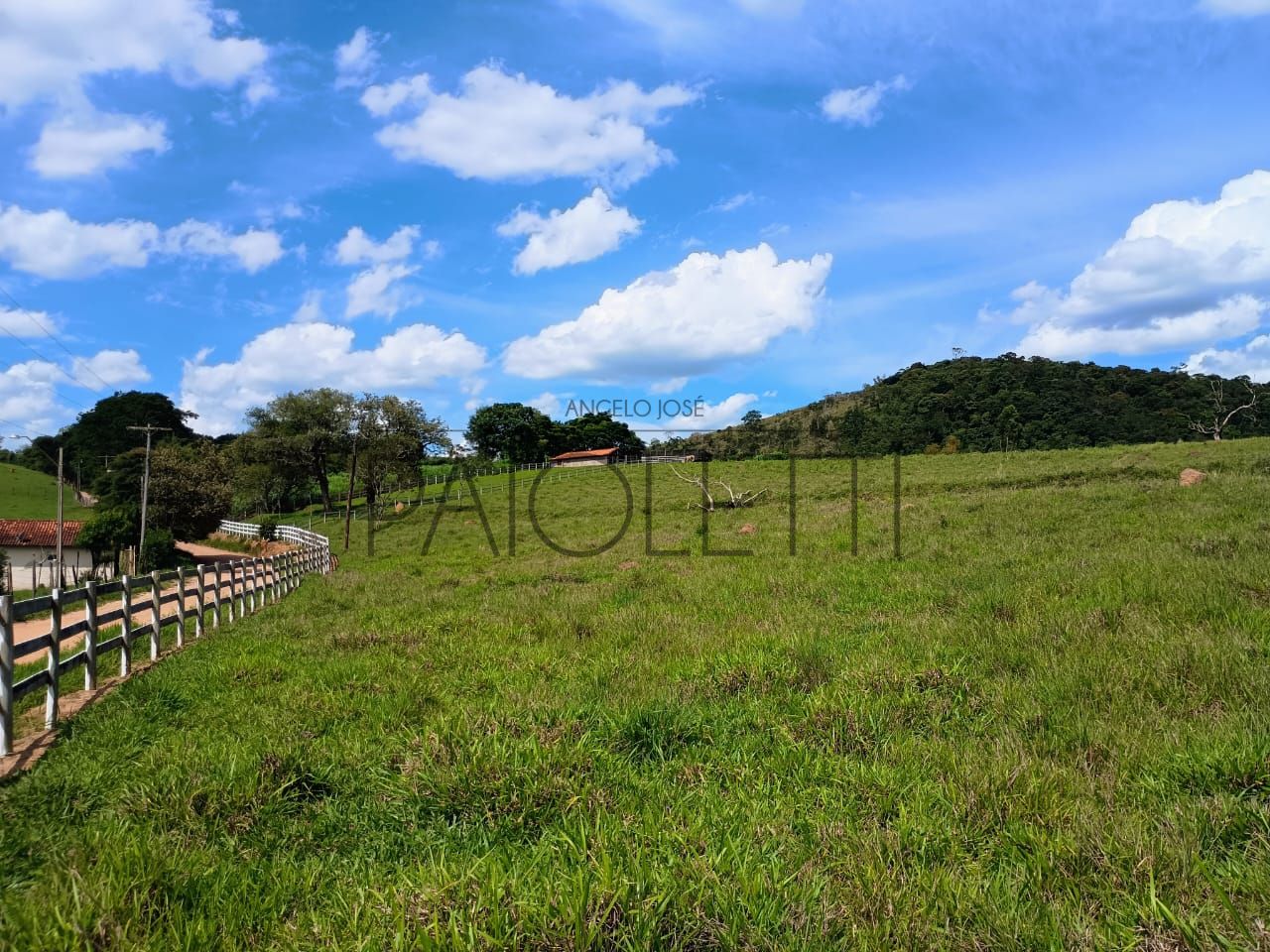 Sitio - Viver no campo (20)