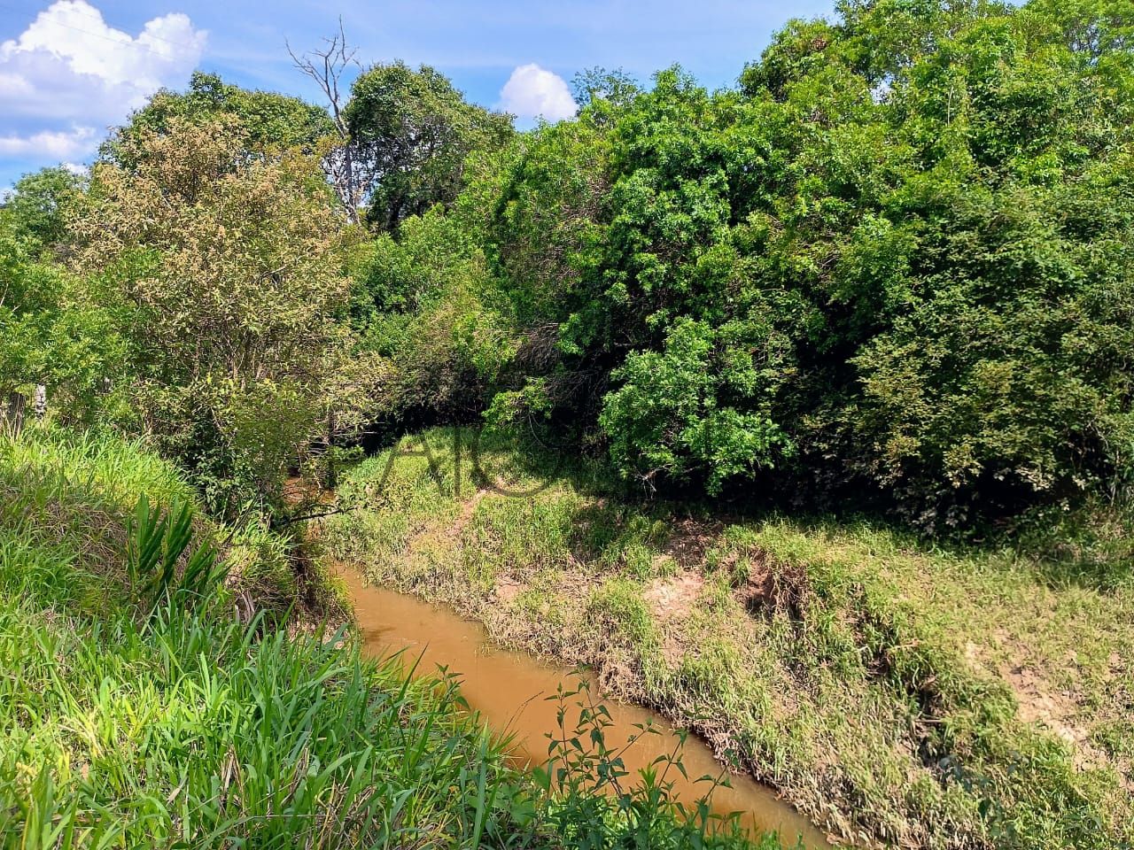 Sitio - Viver no campo (21)