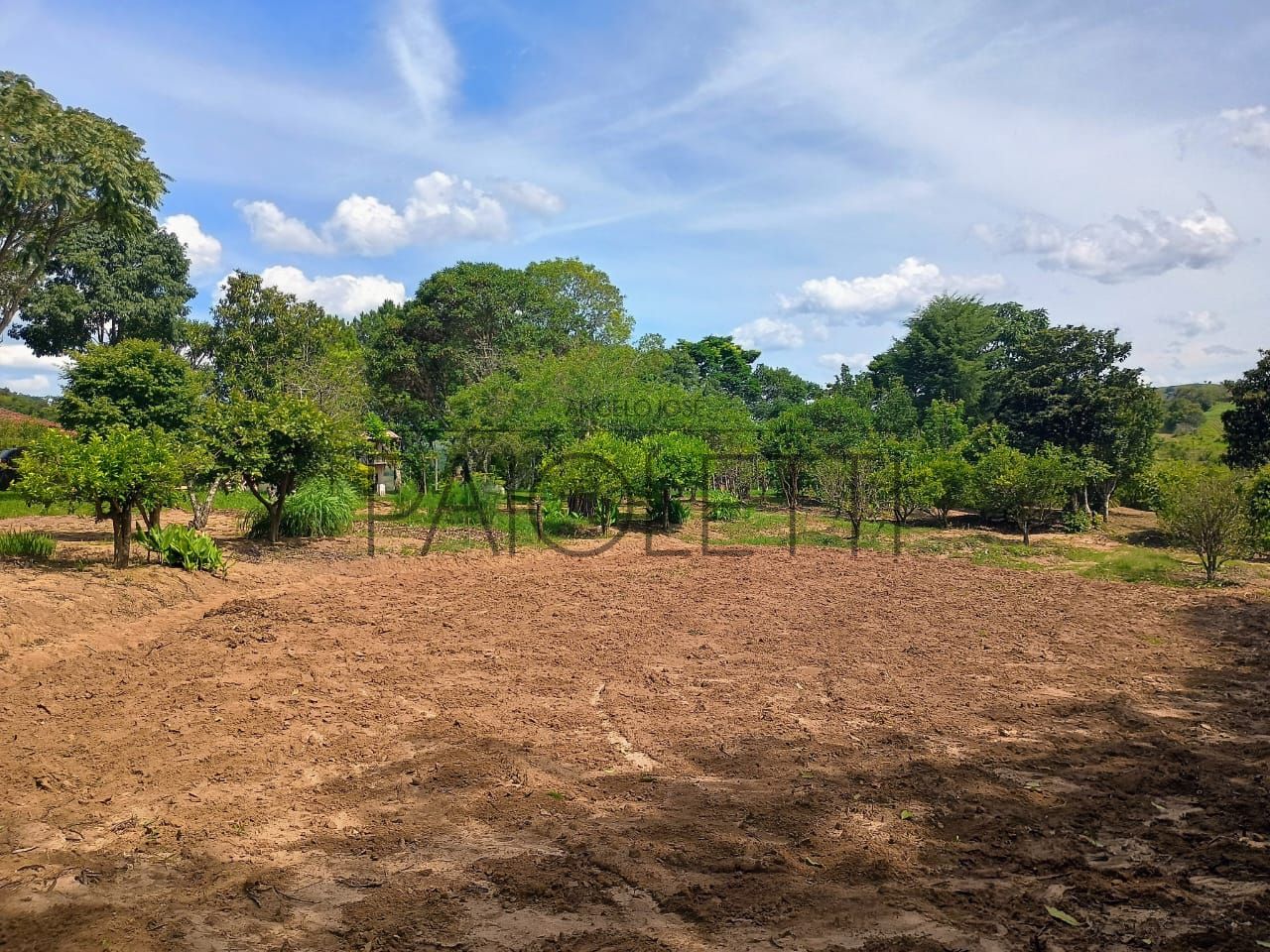 Sitio - Viver no campo (22)