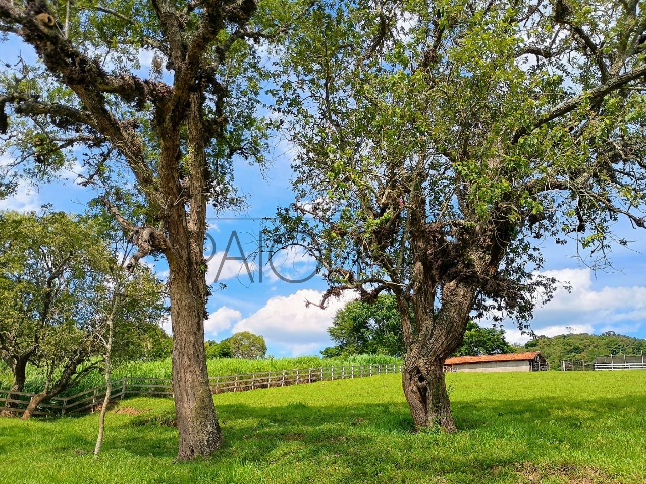 Sitio - Viver no campo (24)