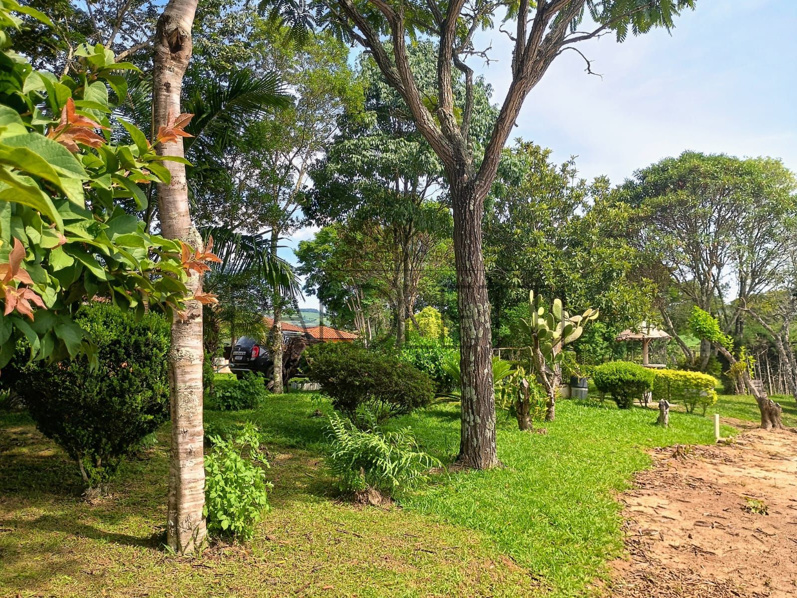 Sitio - Viver no campo (25)