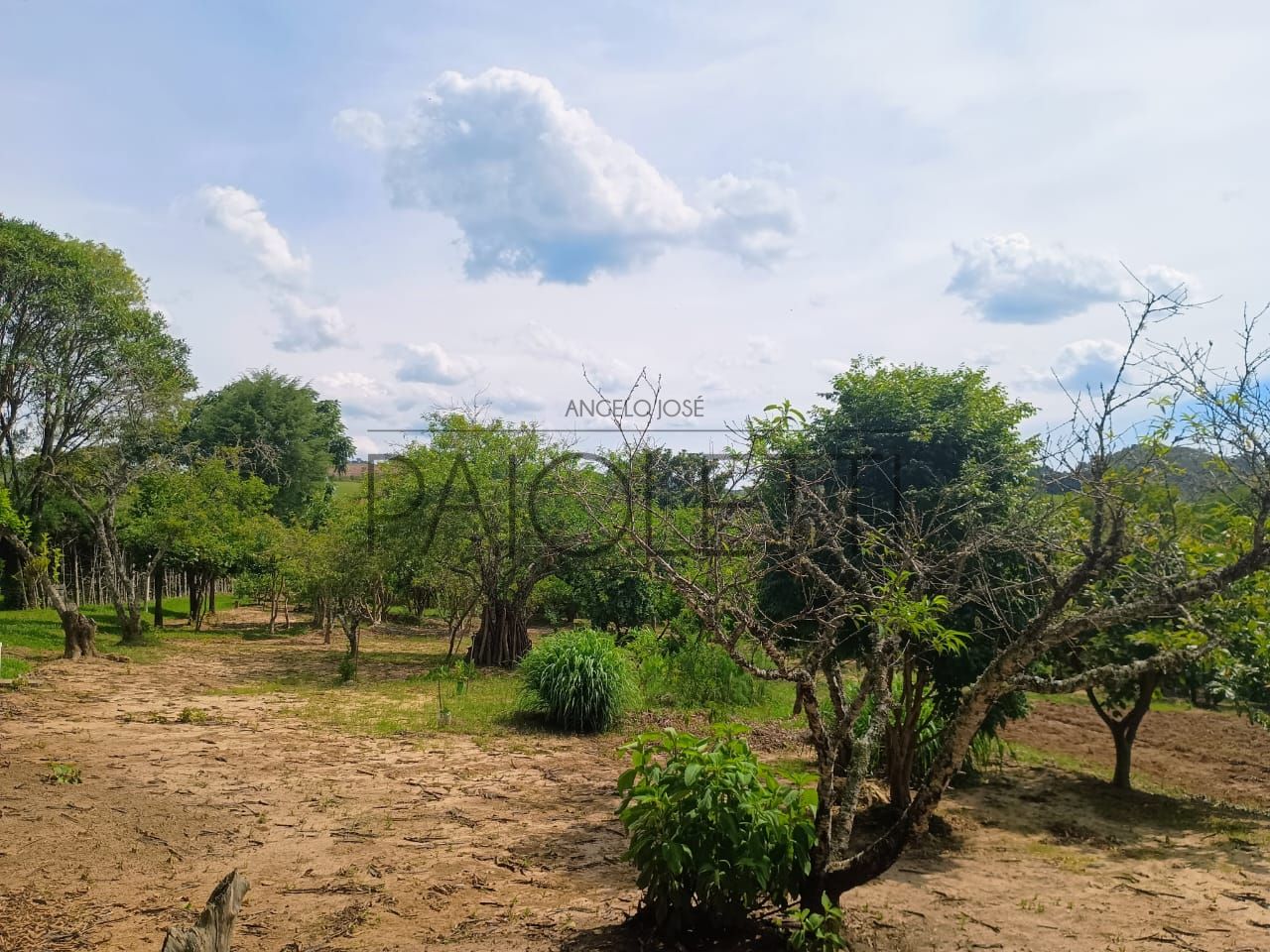 Sitio - Viver no campo (26)