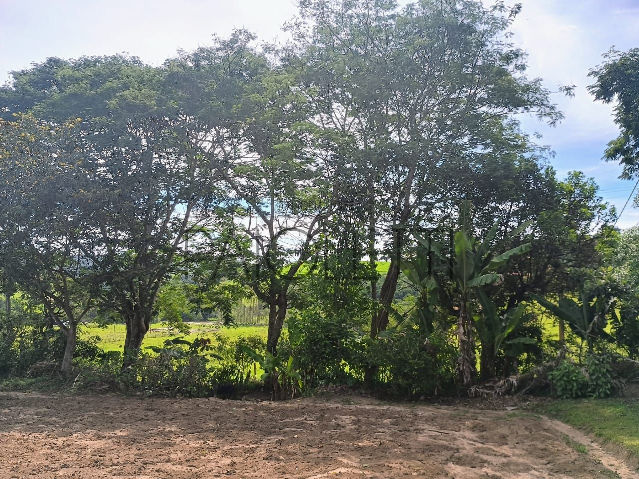 Sitio - Viver no campo (27)