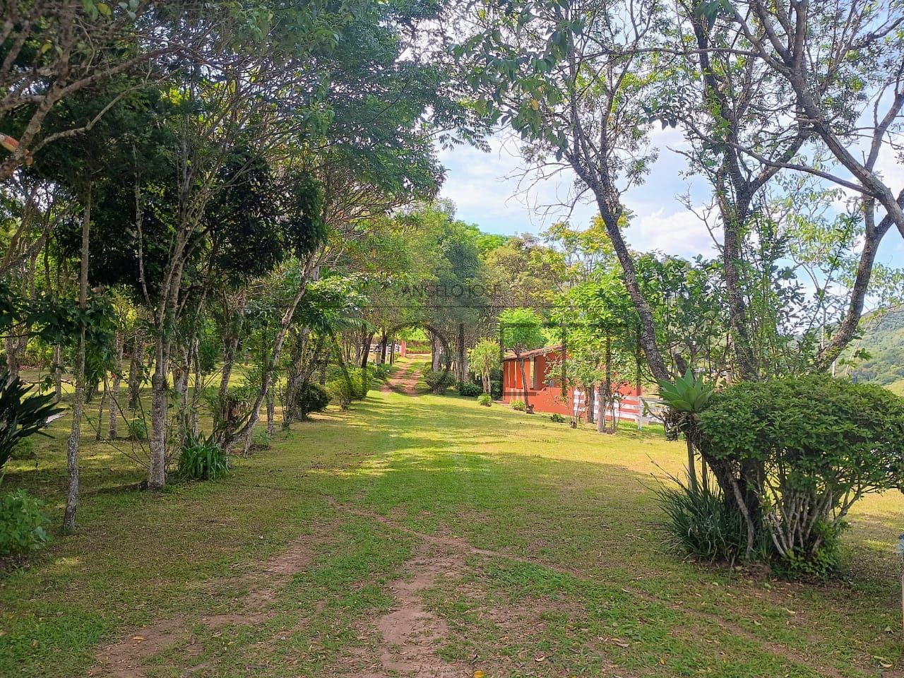 Sitio - Viver no campo (28)