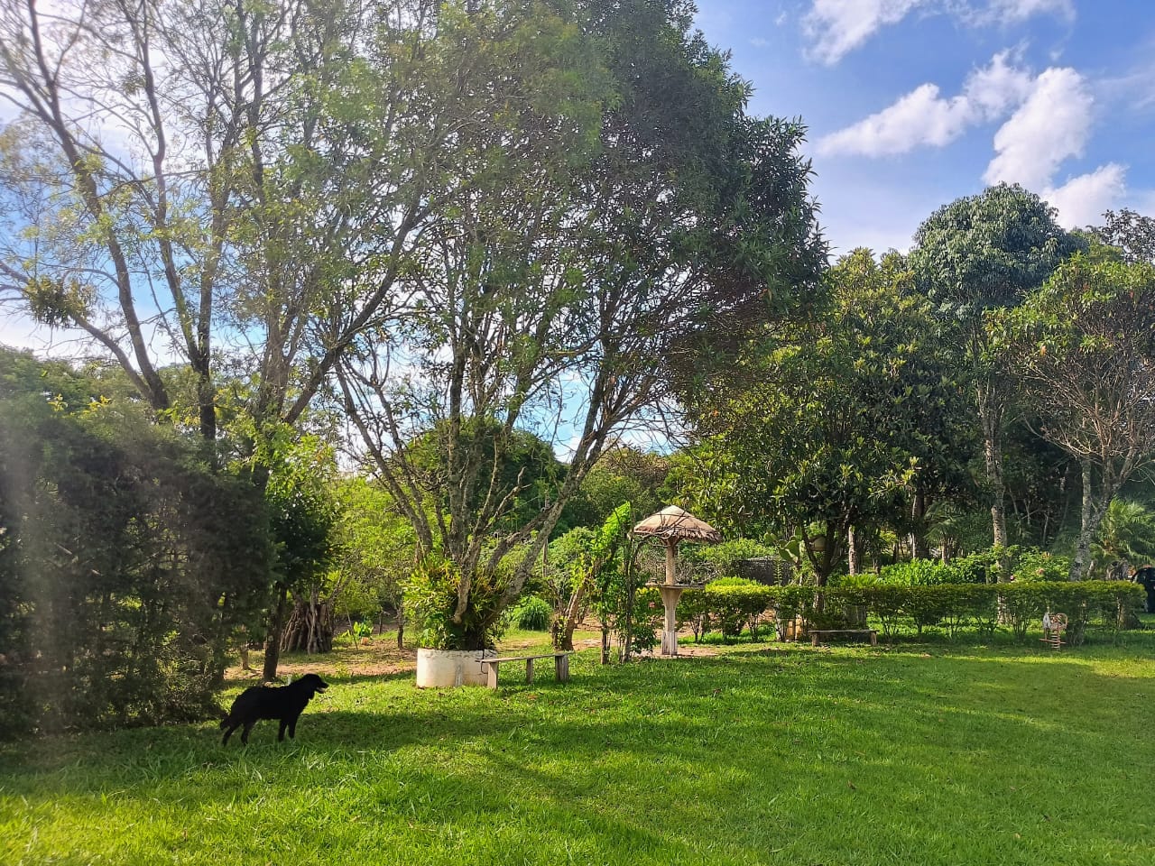 Sitio - Viver no campo (7)